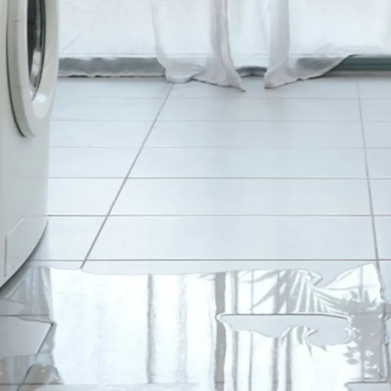 Appliance Leak Cleanup in Pearl Beach, MI