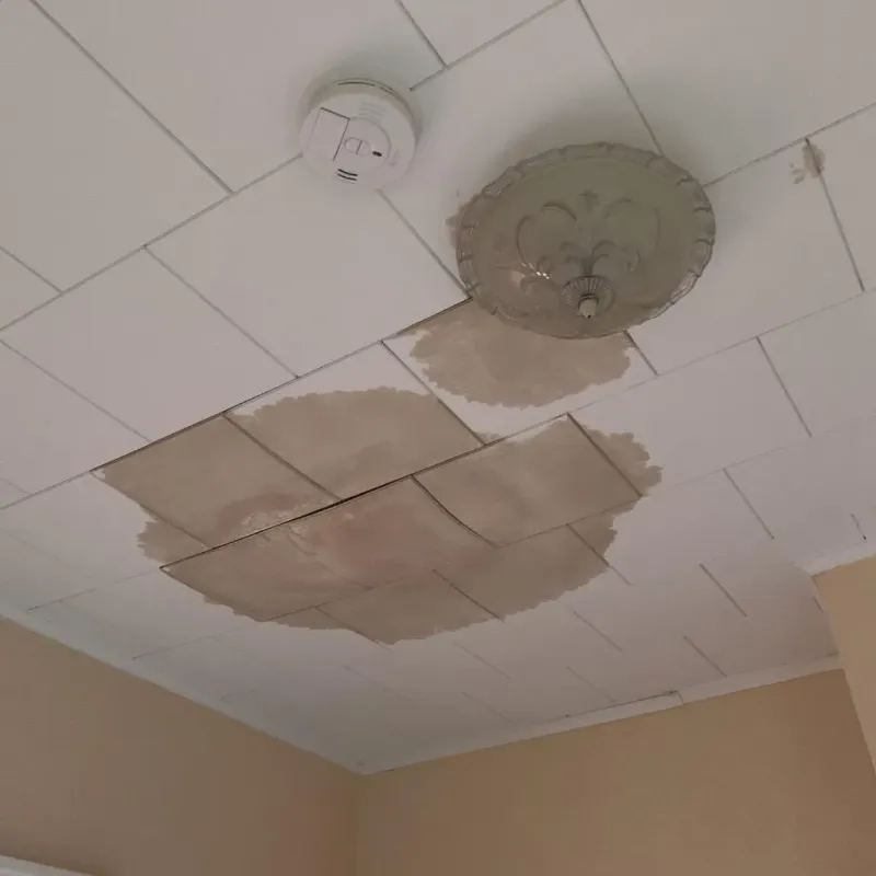 Ceiling Water Damage Repair in Pearl Beach, MI