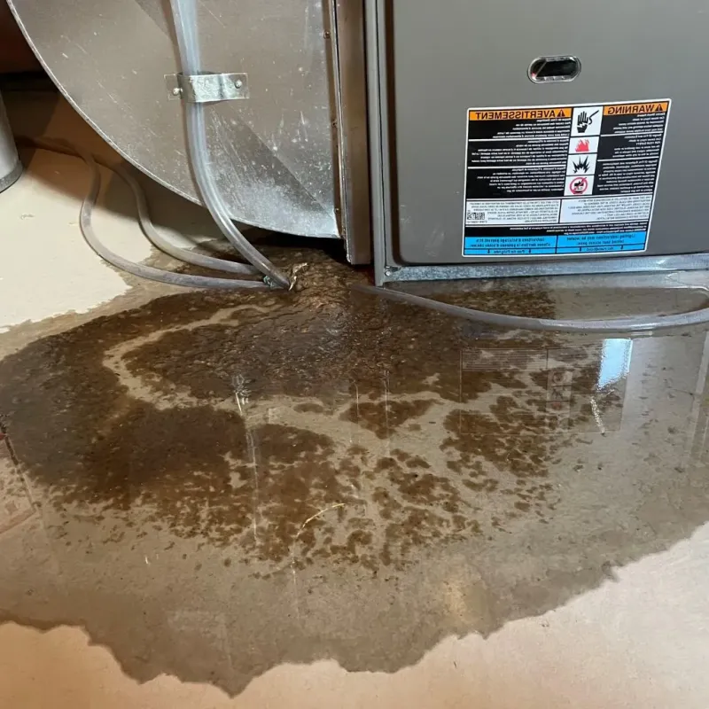 Pipe Burst and Leak Restoration in Pearl Beach, MI