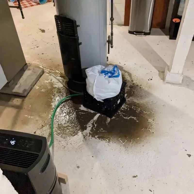 Sewage Backup Cleanup Service in Pearl Beach, MI